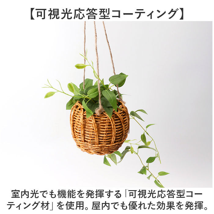 BACKYARD FAMILY「光触媒 フェイクグリーン 通販 観葉植物 人工観葉植物 ハンギング 吊り下げ ハンギングバスケット」|その他|