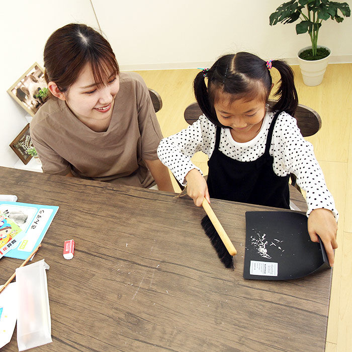 BACKYARD FAMILY「テーブルほうき 通販 ほうき 箒 ホウキ ハンドブラシ ミニほうき 卓上ほうき ミニブラシ 小さい」|その他|