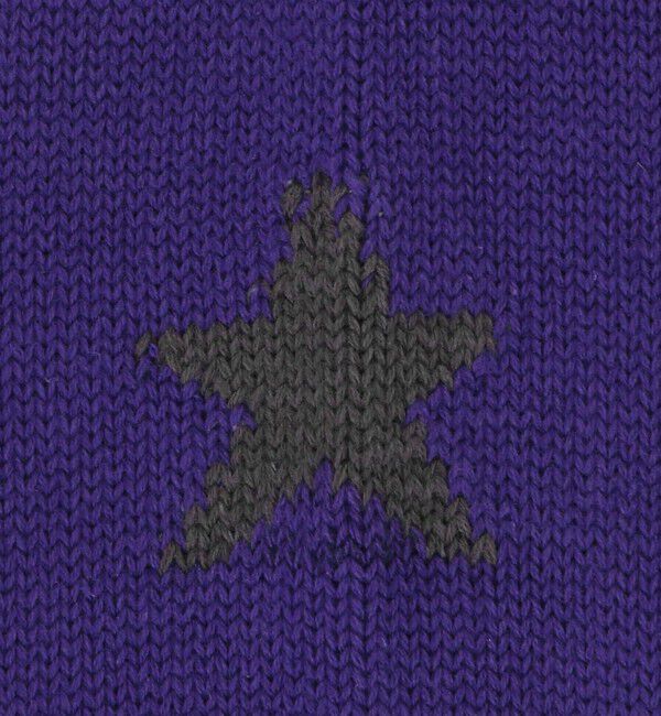 UNITED ARROWS green label relaxing「【別注】＜ROSTER SOX＞GLR 1STAR ソックス」|ソックス|