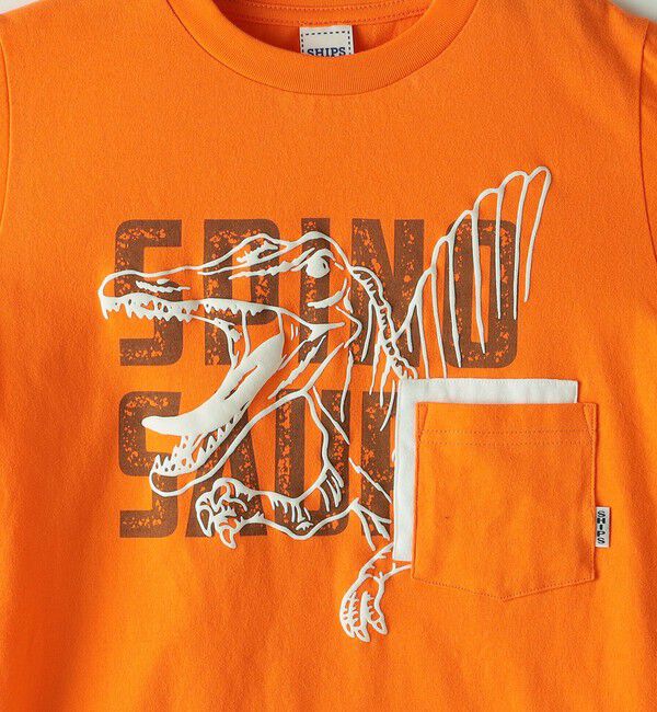 SHIPS KIDS「SHIPS KIDS:80～90cm / 恐竜 蓄光 プリント 長袖 TEE」|Tシャツ・カットソー|