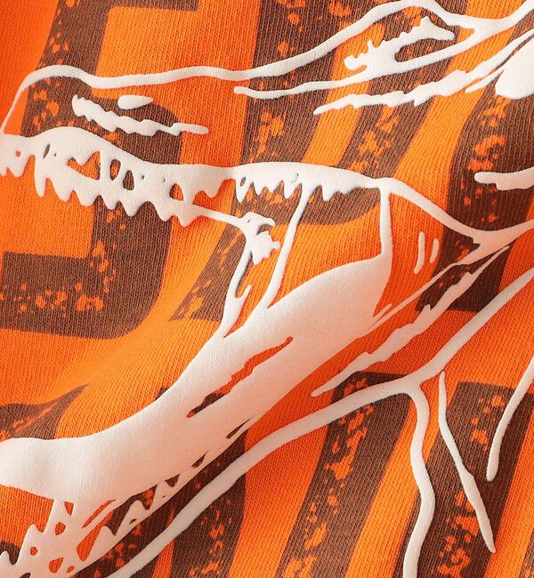 SHIPS KIDS「SHIPS KIDS:80～90cm / 恐竜 蓄光 プリント 長袖 TEE」|Tシャツ・カットソー|