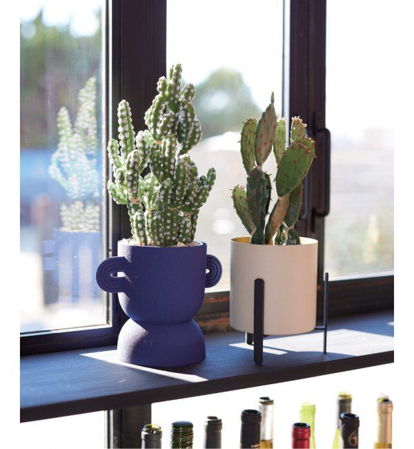 journal standard Furniture「【Brown./ブラウン】ウチワサボテン ポット 31 フェイクグリーン」|その他|