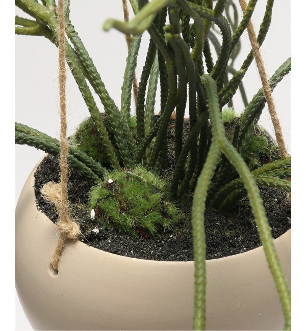 journal standard Furniture「【Brown./ブラウン】リプサリス BLハンギングポット　フェイクグリーン」|その他|