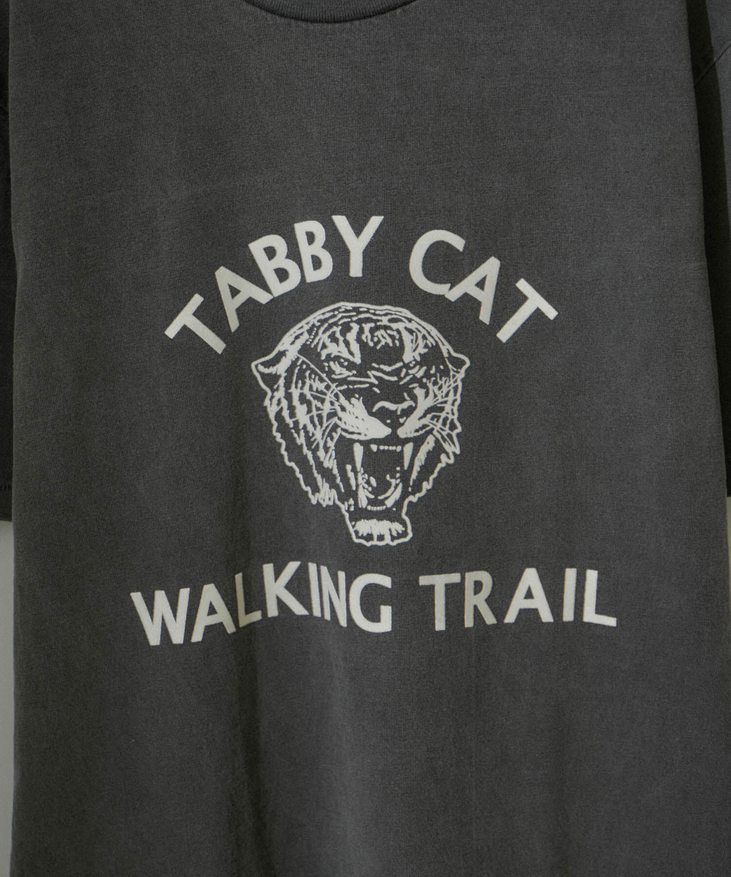 SALON adam et rope'「【MIXTA（ミクスタ）】TABBY CAT TEE」|Tシャツ・カットソー|