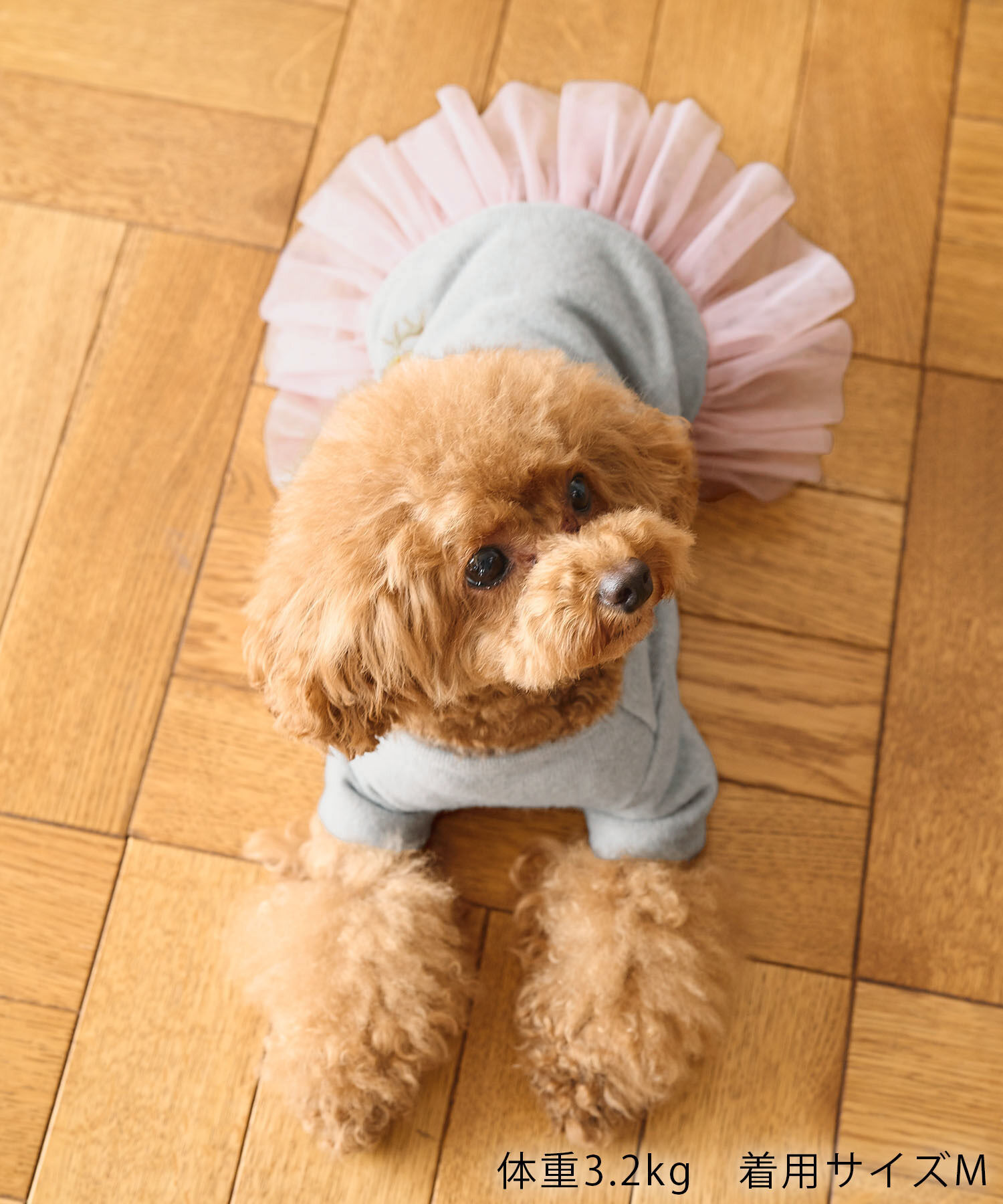 ROPE PICNIC PASSAGE「【DOG】ドッキングチュールスカート」|その他|