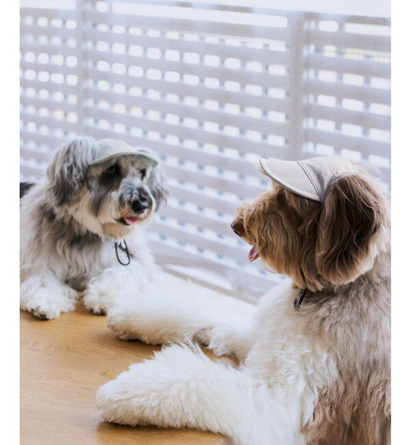 ROPE PICNIC PASSAGE「【DOG】【comif(コミフ)&times;ROPE' PICNIC】シャイニーキャップ/リンクコーデ」|その他|