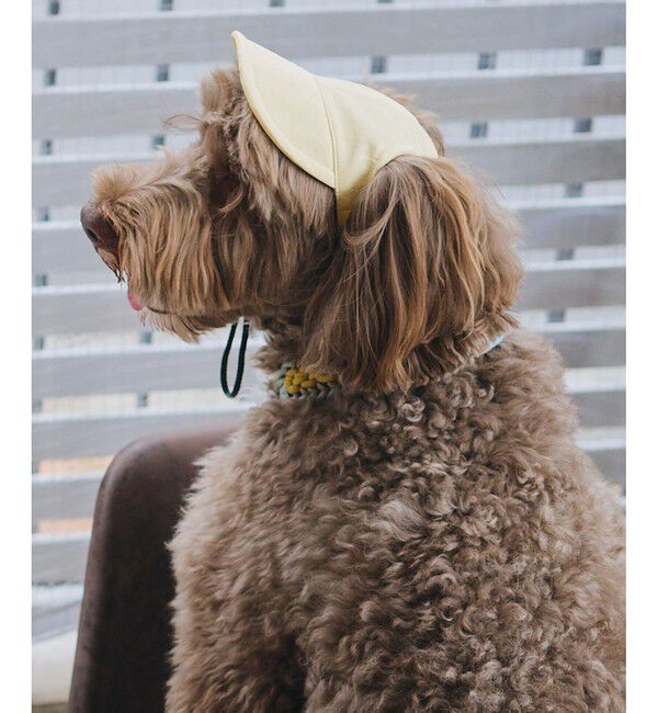 ROPE PICNIC PASSAGE「【DOG】【comif(コミフ)&times;ROPE' PICNIC】シャイニーキャップ/リンクコーデ」|その他|クリーム(83)