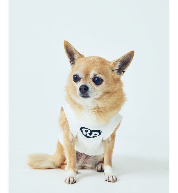 ROPE PICNIC PASSAGE「【Chocomoo&times;ROPE' PICNIC】【DOG】【接触冷感】ロゴTシャツ」|その他|