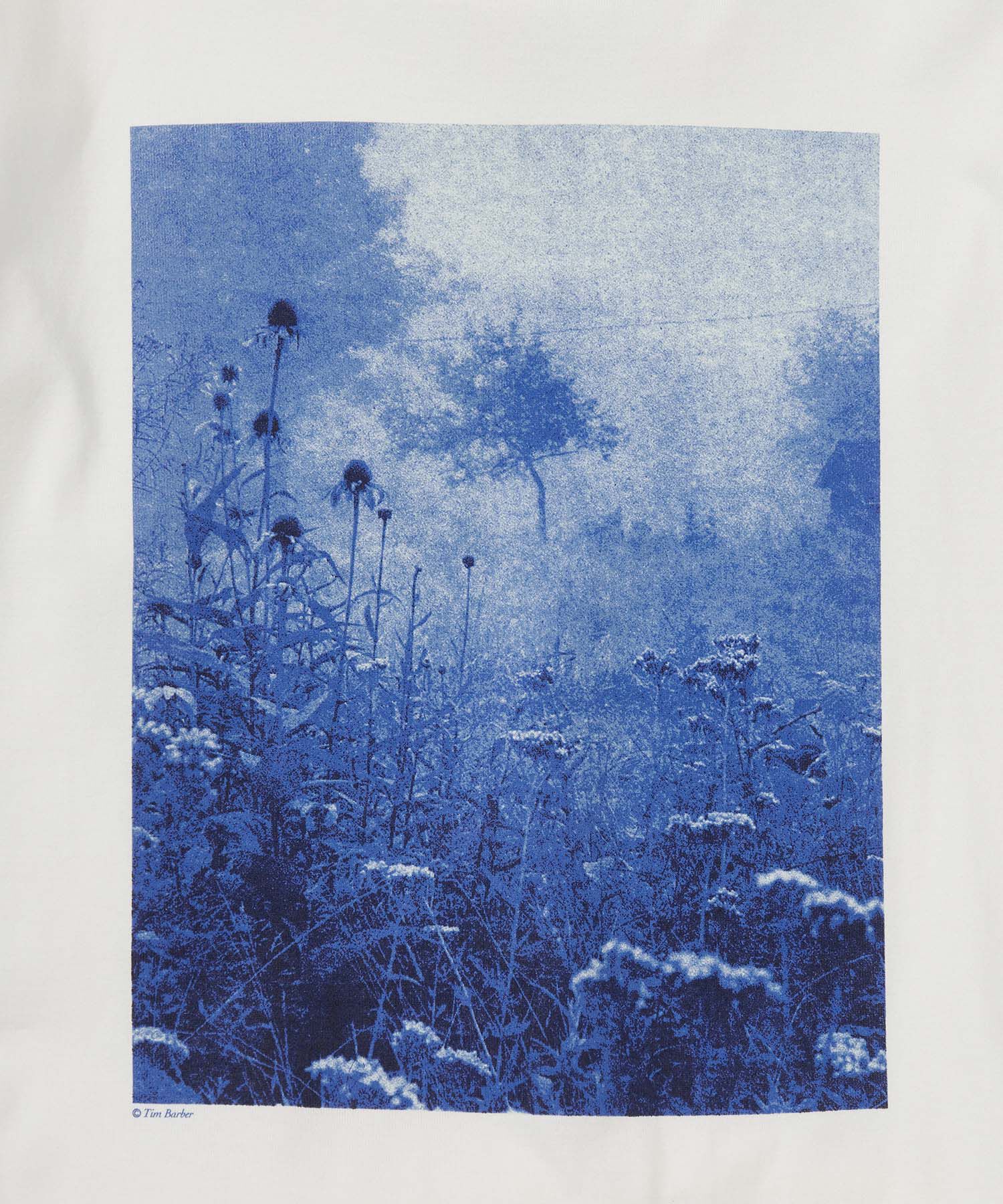 ADAM ET ROPE'「【JANE SMITH】TIM BARBER choke cherry / blue L/S T-SHIRT 」|Tシャツ・カットソー|