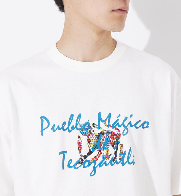 ABAHOUSE「バハカリフォルニア モチーフ Tシャツ」|Tシャツ・カットソー|