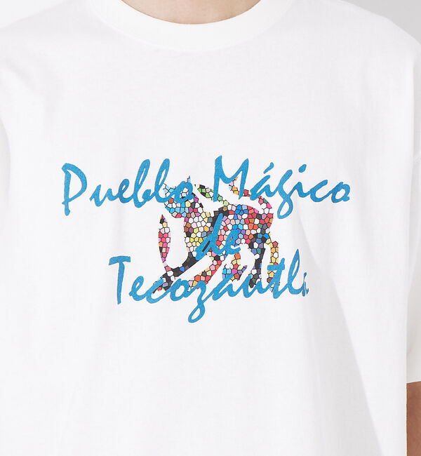 ABAHOUSE「バハカリフォルニア モチーフ Tシャツ」|Tシャツ・カットソー|