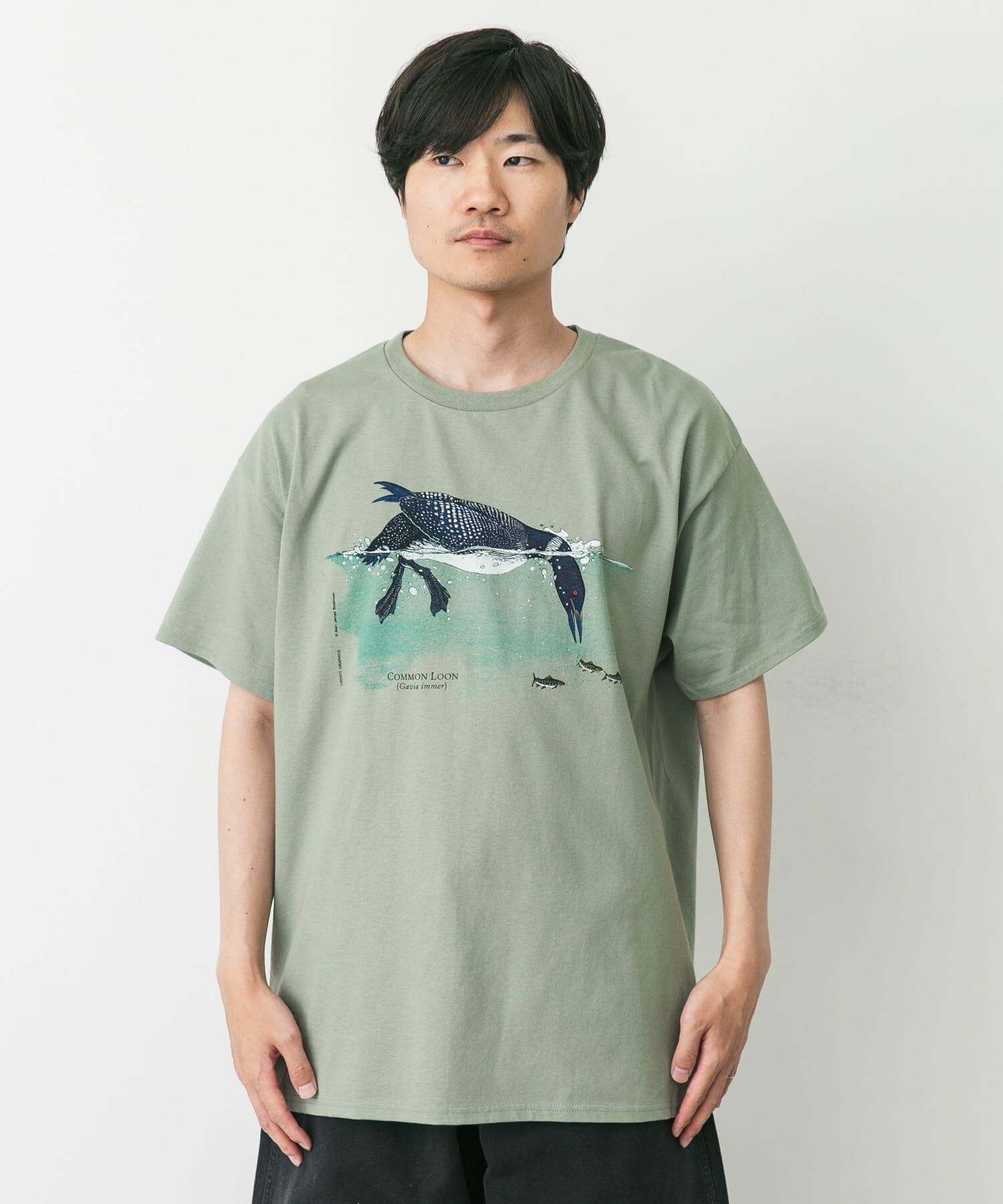 URBAN RESEARCH DOORS「LIBERTY GRAPHICS　Feeding Loon」|Tシャツ・カットソー|