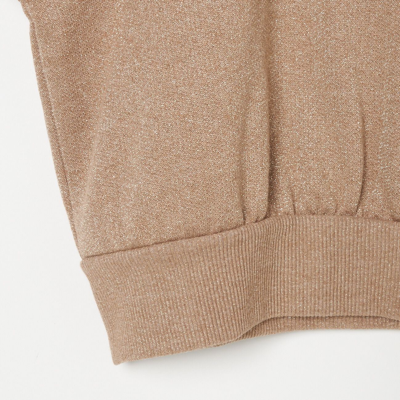 HELIOPOLE「HELIOPOLE GLITTER SWEAT SHIRT」|Tシャツ・カットソー|