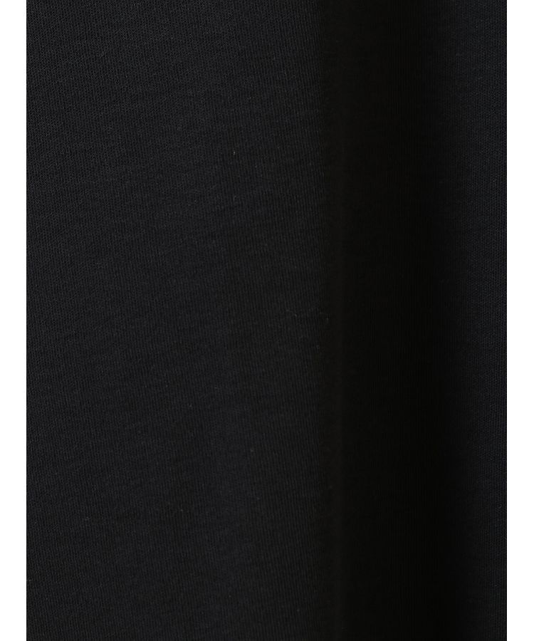 AMERICAN HOLIC「クルーネックカットプルオーバー」|Tシャツ・カットソー|