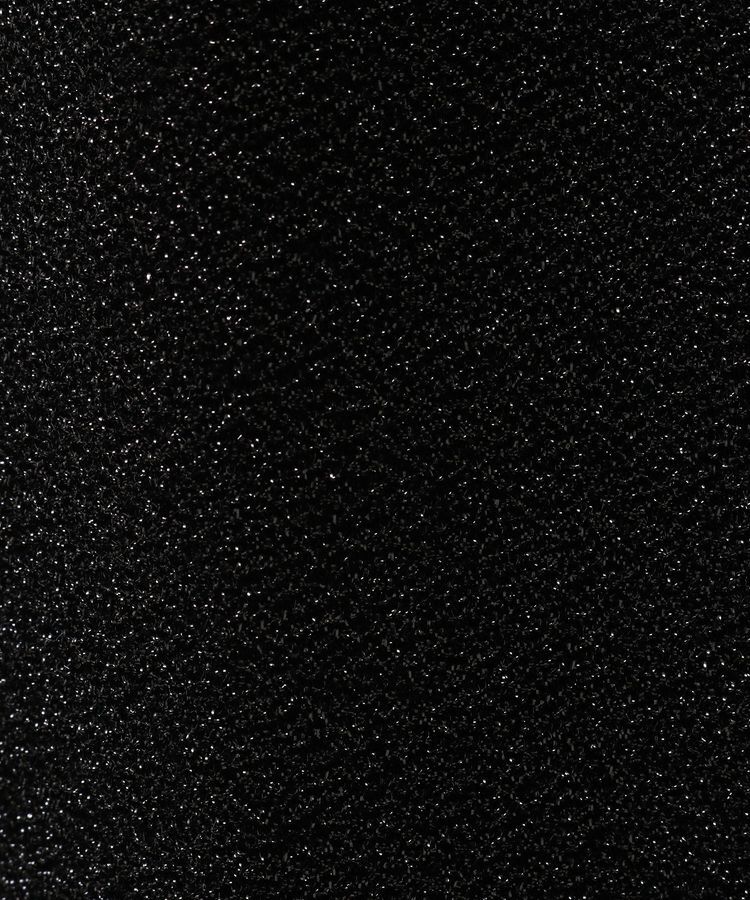 AMERICAN HOLIC「ラメスカート」|タイト|