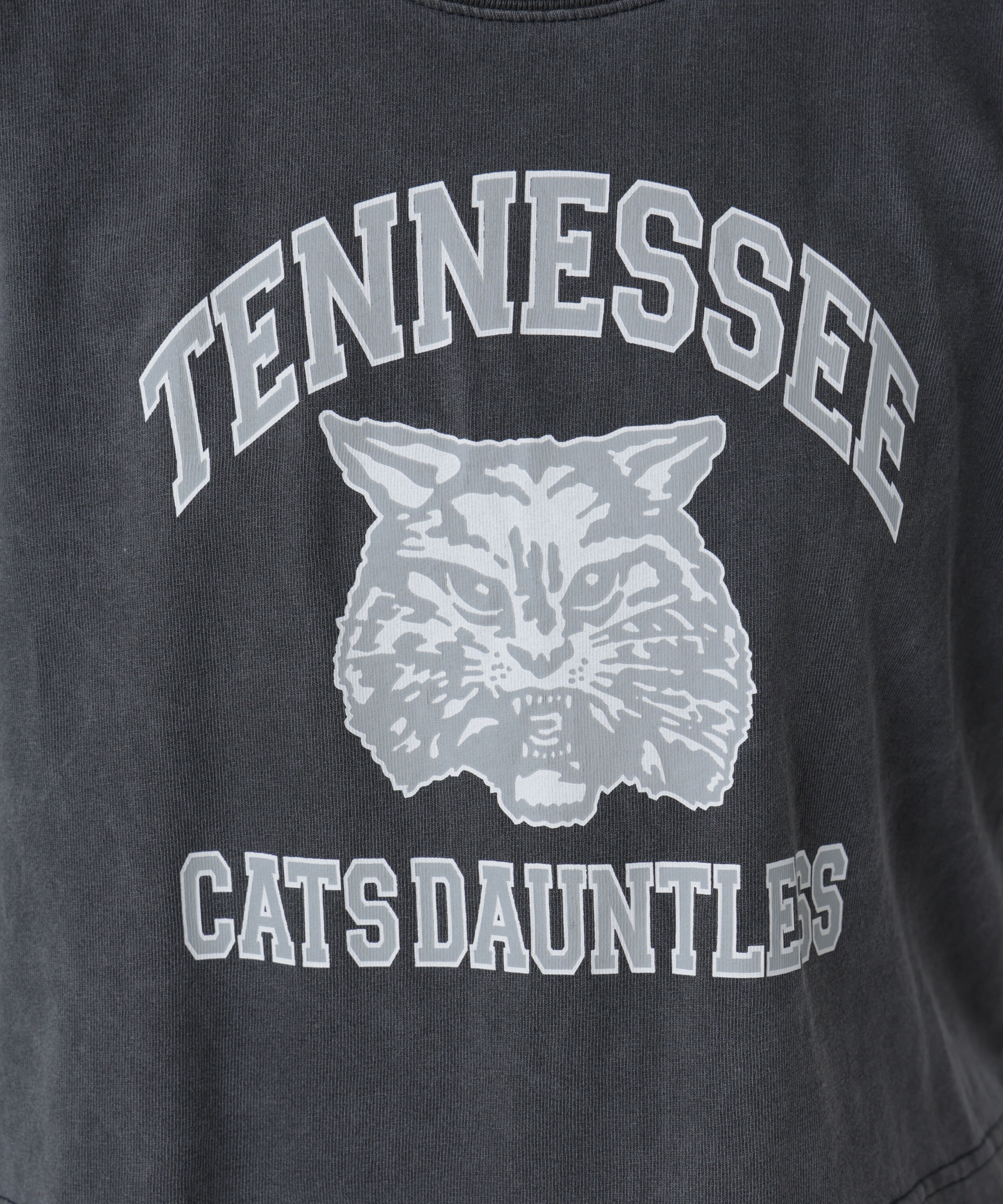  「〈フリーズマート別注〉テネシーリバーショート丈Tシャツ」|Tシャツ・カットソー|