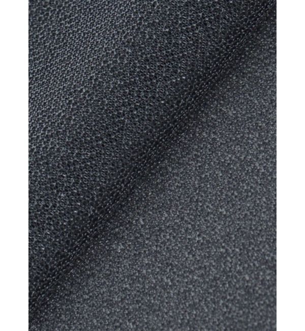 dazzlin「シアーグロスインナーカットソー」|Tシャツ・カットソー|