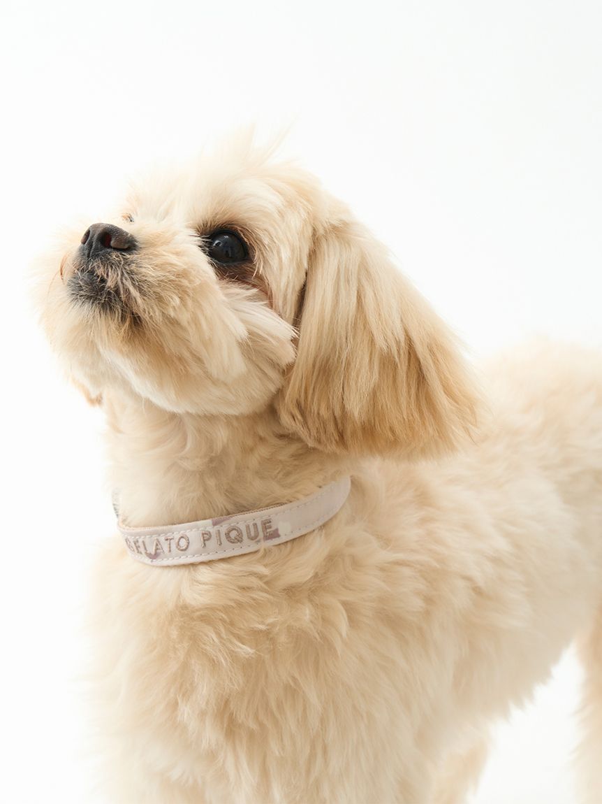 GELATO PIQUE CAT&DOG「【CAT&DOG】【販路限定商品】モチーフ柄首輪」|その他|