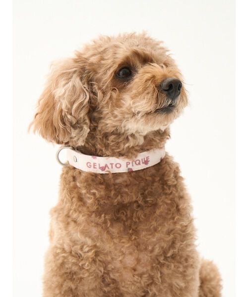  GELATO PIQUE CAT&DOG「【CAT&DOG】【販路限定商品】モチーフ柄首輪」|その他|