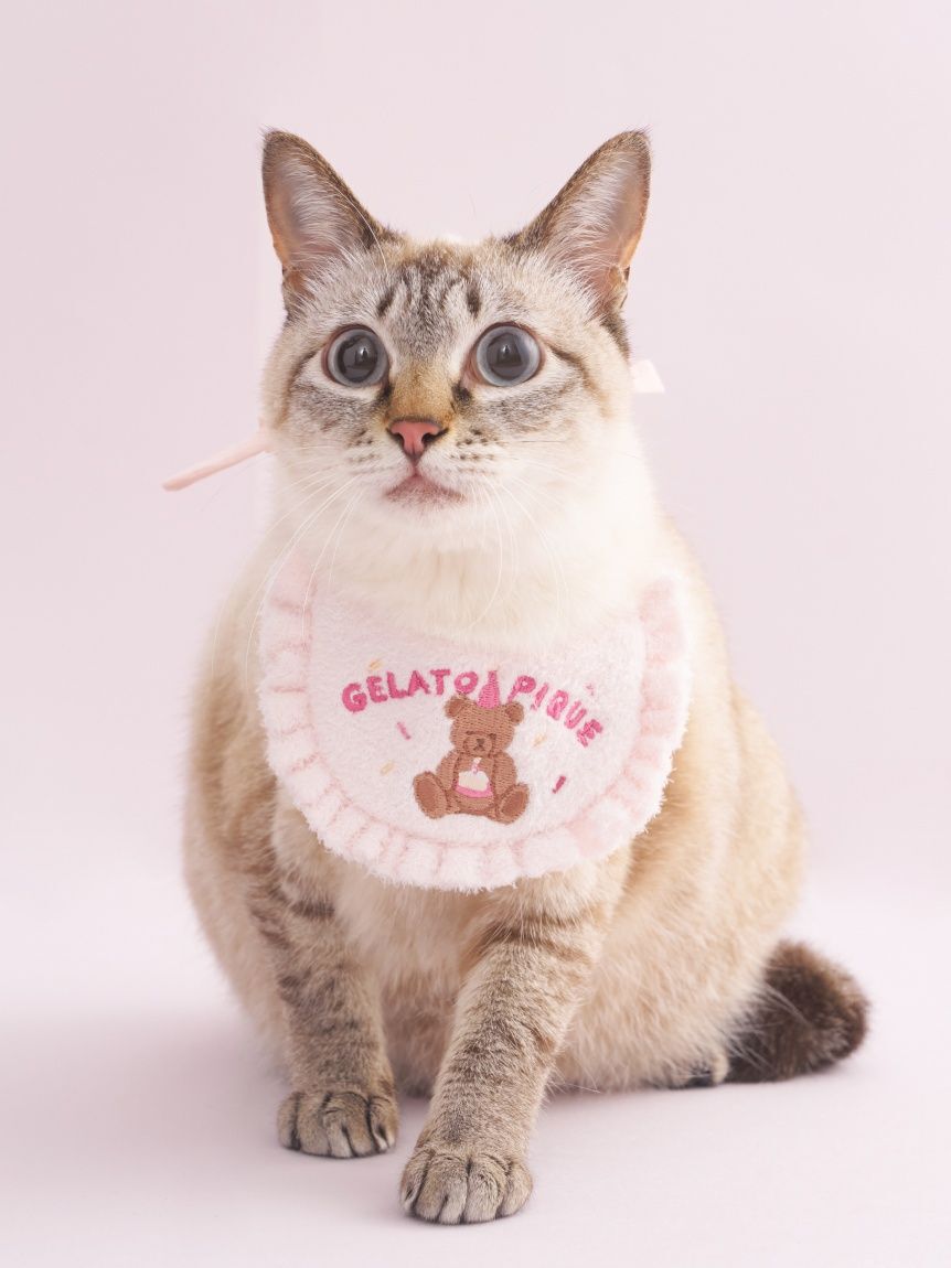  GELATO PIQUE CAT&DOG「【CAT&DOG】【Birthday】スムーズィーバースデースタイ」|その他|