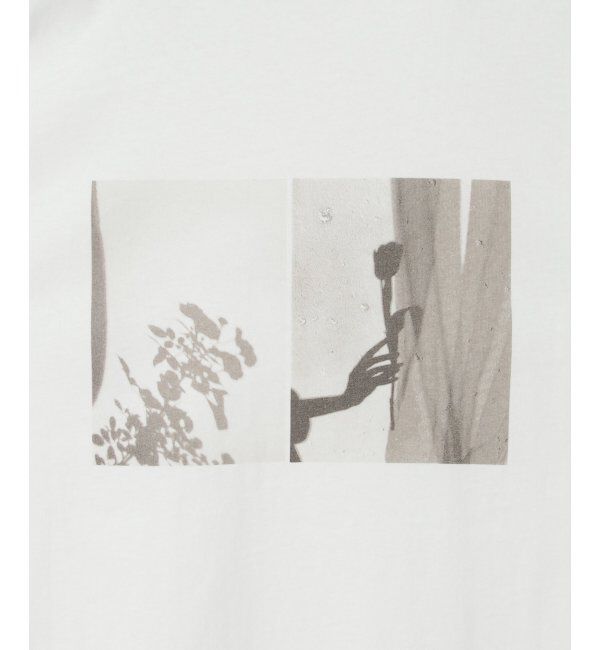 VENCE share style「天竺フォトロンT」|Tシャツ・カットソー|