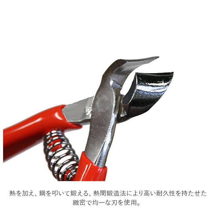 BACKYARD FAMILY「爪切り 介護用 通販 つめきり 看護 爪切りニッパー 介護用つめ切り ニッパー型爪切り 爪やすり付」|その他|