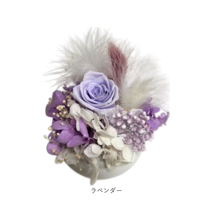 BACKYARD FAMILY「ブリザードフラワ- 通販 フラワーアレンジメント フラワーギフト お花 花 かわいい おしゃれ」|その他|