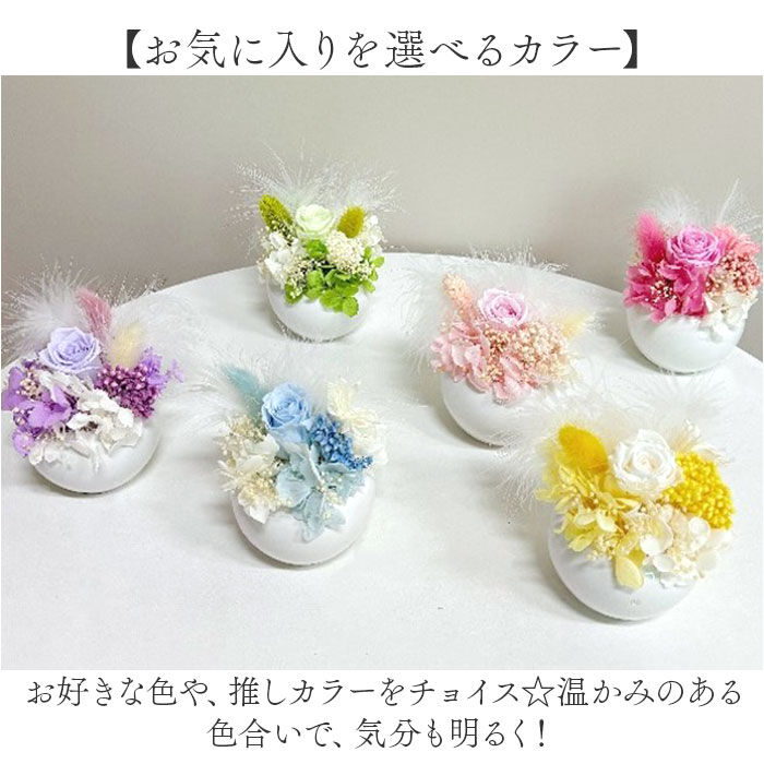 BACKYARD FAMILY「ブリザードフラワ- 通販 フラワーアレンジメント フラワーギフト お花 花 かわいい おしゃれ」|その他|