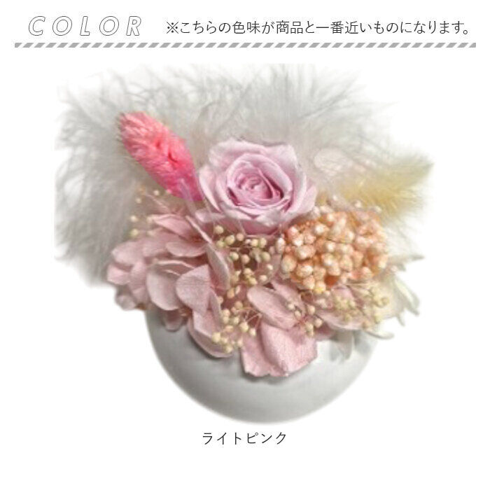 BACKYARD FAMILY「ブリザードフラワ- 通販 フラワーアレンジメント フラワーギフト お花 花 かわいい おしゃれ」|その他|