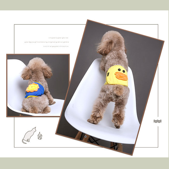 BACKYARD FAMILY「犬 マナーパンツ オス 通販 マナーウェア マナーパッド マナーパット 男の子 小型犬 中型犬」|その他|