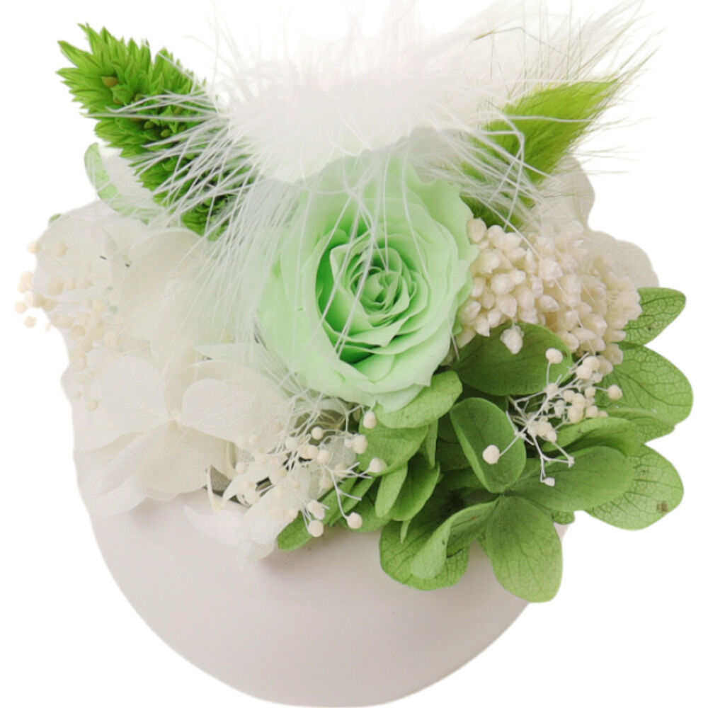 BACKYARD FAMILY「ブリザードフラワ- 通販 フラワーアレンジメント フラワーギフト お花 花 かわいい おしゃれ」|その他|グリーン1