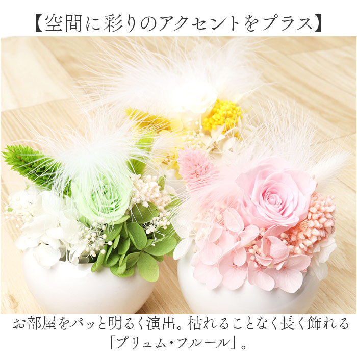 BACKYARD FAMILY「ブリザードフラワ- 通販 フラワーアレンジメント フラワーギフト お花 花 かわいい おしゃれ」|その他|