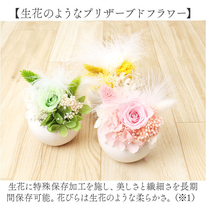 BACKYARD FAMILY「ブリザードフラワ- 通販 フラワーアレンジメント フラワーギフト お花 花 かわいい おしゃれ」|その他|