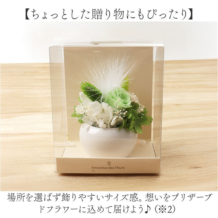 BACKYARD FAMILY「ブリザードフラワ- 通販 フラワーアレンジメント フラワーギフト お花 花 かわいい おしゃれ」|その他|