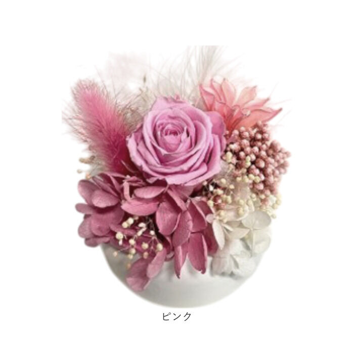 BACKYARD FAMILY「ブリザードフラワ- 通販 フラワーアレンジメント フラワーギフト お花 花 かわいい おしゃれ」|その他|