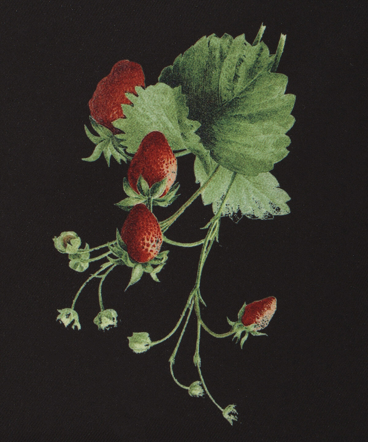 WILLSELECTION「ウィンターボタニカルトートバッグ」|トートバッグ|