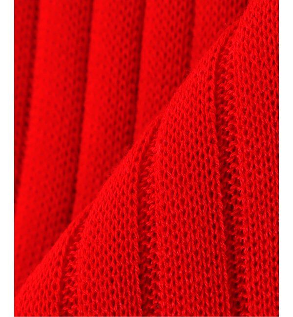 VERMEIL par iena「BRESCIANI ブレッシアーニ 別注リブソックス WD009UN0001」|ソックス|