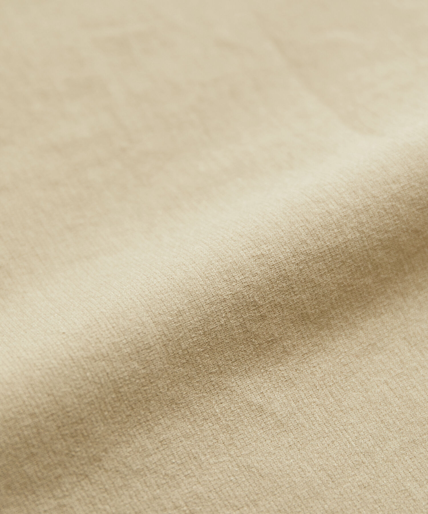 ADAM ET ROPE'「【Albini/アルビニ】オーガニック ポンチ ドロップショルダー ビッグ Tシャツ」|Tシャツ・カットソー|