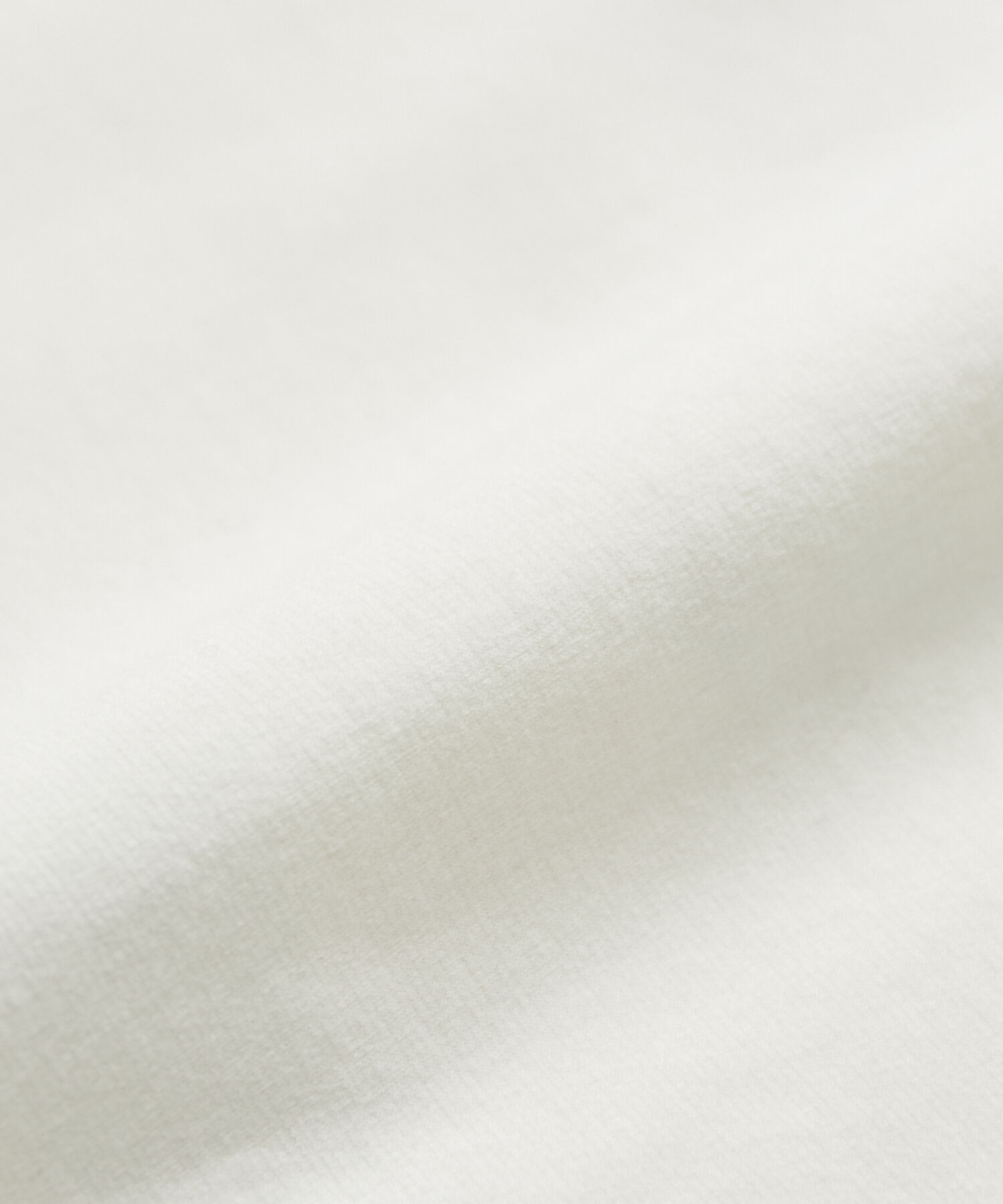 ADAM ET ROPE'「【Albini/アルビニ】オーガニック ポンチ ドロップショルダー ビッグ Tシャツ」|Tシャツ・カットソー|