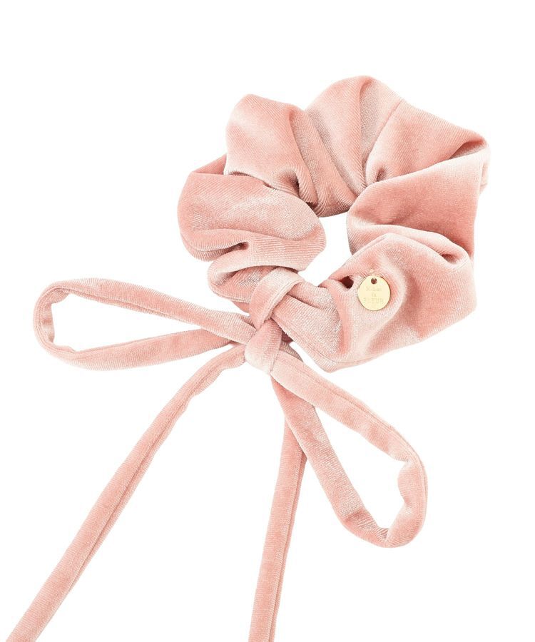 Maison de FLEUR「ベロアリボンシュシュ」|その他|