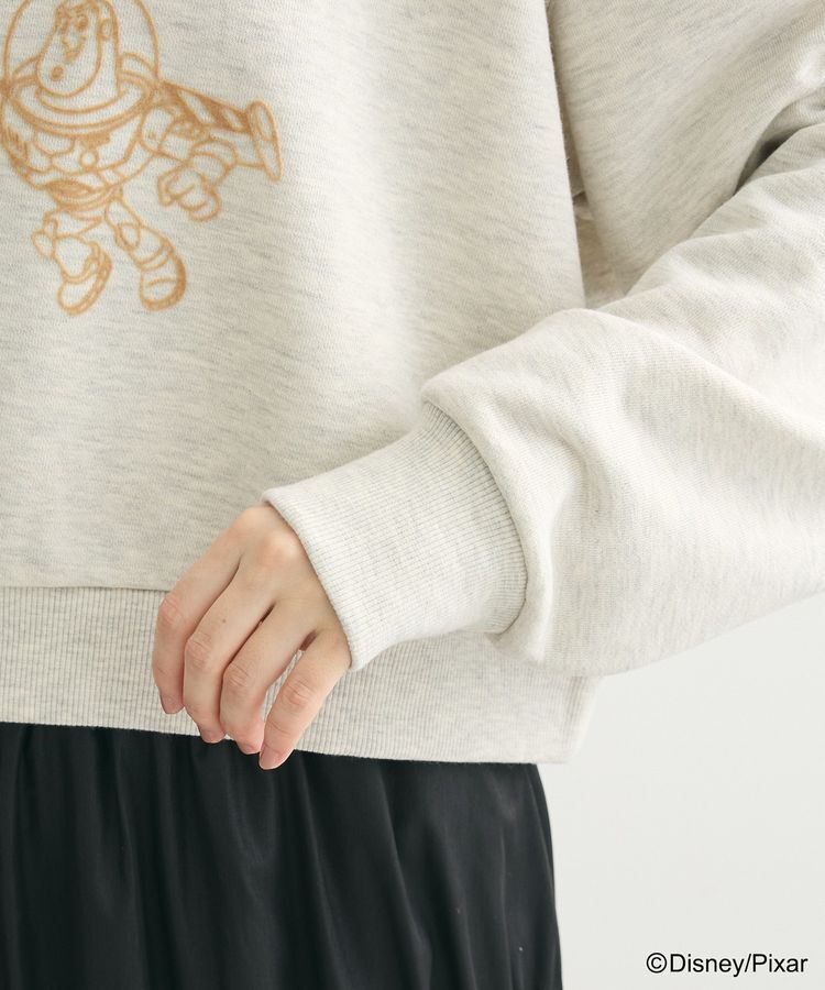 Green Parks「トイストーリー/立体ロゴショートプルオーバー」|Tシャツ・カットソー|