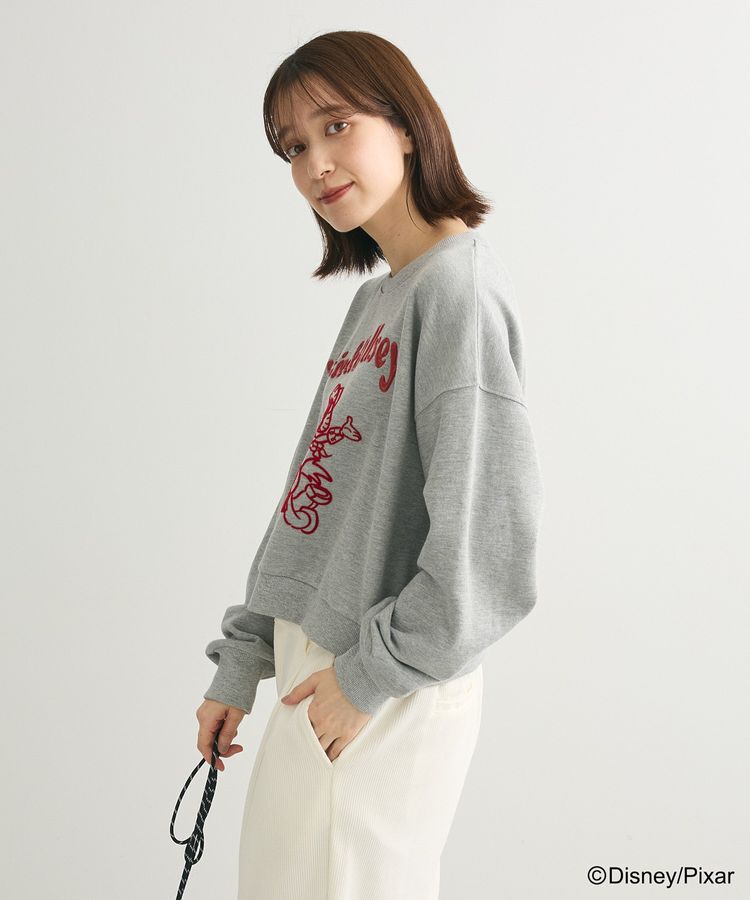 Green Parks「トイストーリー/立体ロゴショートプルオーバー」|Tシャツ・カットソー|