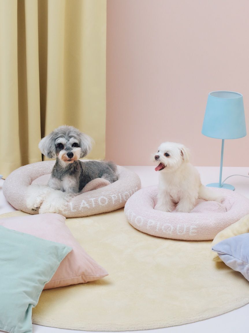  GELATO PIQUE CAT&DOG「【CAT&DOG】ベビモコベッドL」|その他|