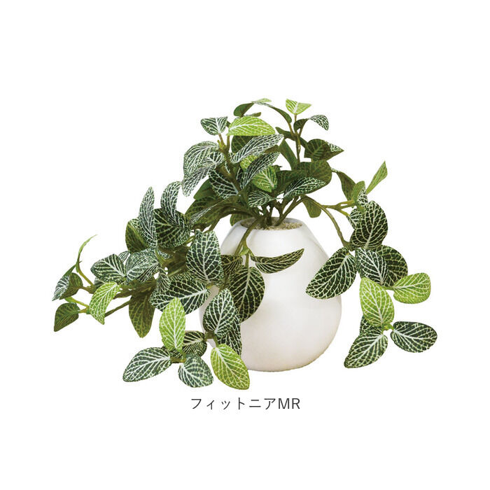 BACKYARD FAMILY「光触媒 フェイクグリーン 通販 イミテーショングリーン 人工観葉植物 インテリアグリーン 中型丸鉢」|その他|