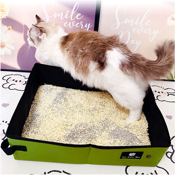 BACKYARD FAMILY「猫 トイレ 折り畳み 通販 猫トイレ 折りたたみ ポータブル セカンドトイレ ペットトイレ」|その他|