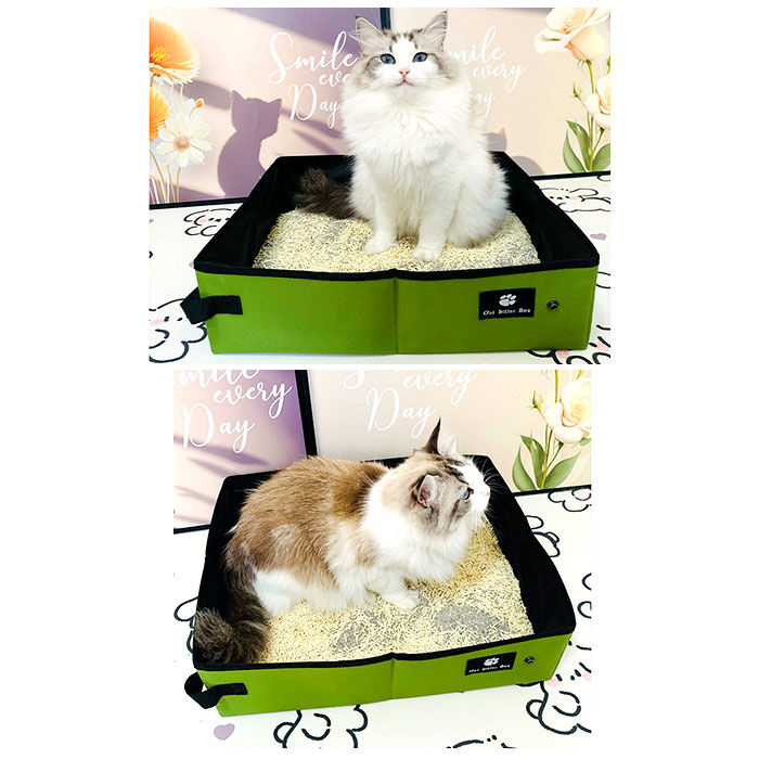 BACKYARD FAMILY「猫 トイレ 折り畳み 通販 猫トイレ 折りたたみ ポータブル セカンドトイレ ペットトイレ」|その他|