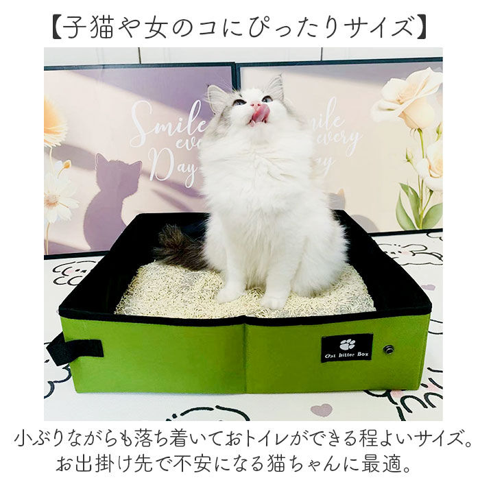 BACKYARD FAMILY「猫 トイレ 折り畳み 通販 猫トイレ 折りたたみ ポータブル セカンドトイレ ペットトイレ」|その他|