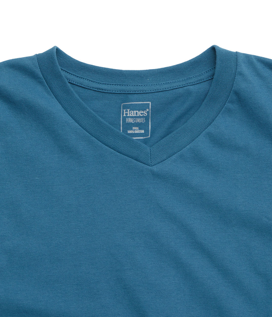 ROPE PICNIC PASSAGE「【一部店舗限定】【HANES】ビッグTシャツ」|Tシャツ・カットソー|