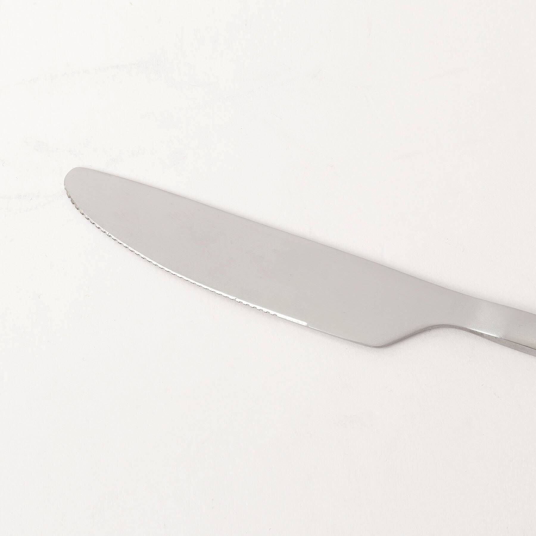 212 KITCHEN STORE「Dover ディナーナイフ SI」|食器・キッチングッズ|