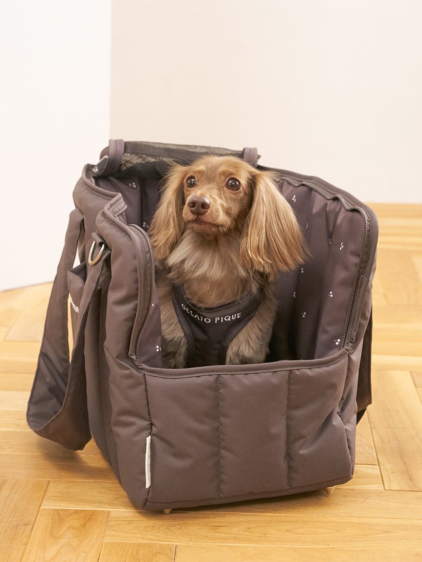  GELATO PIQUE CAT&DOG「【CAT&DOG】キルティングキャリーバック」|その他|
